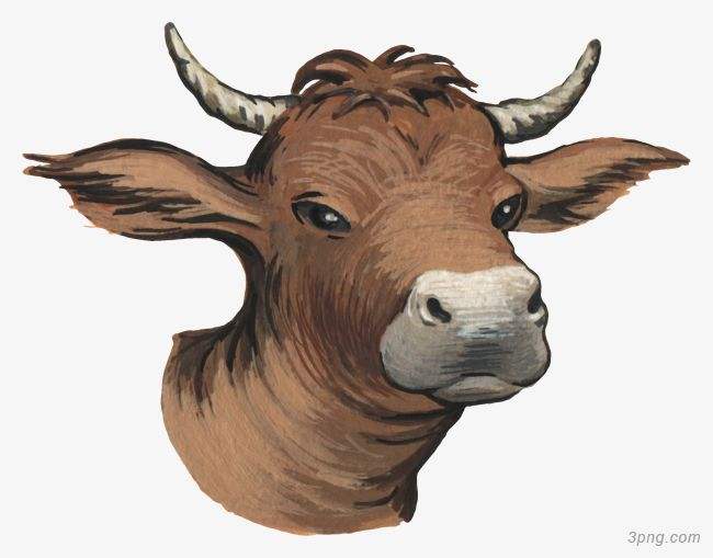 吉林市舒蘭市天德鄉(xiāng)反芻技術(shù)交流會(huì)圓滿成功！